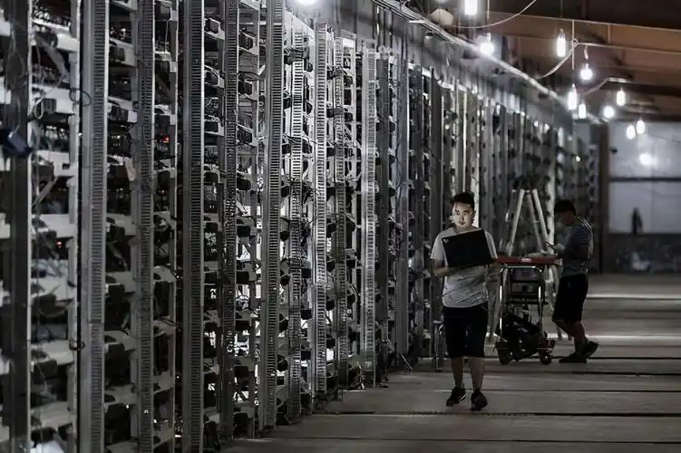 State-of-the-art mining farm hosting cryptocurrency miners