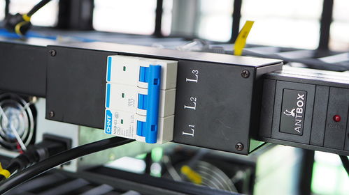 EcoRig mining rig operating with green energy in Amsterdam